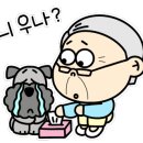 오션동물메디컬센터 이미지