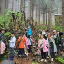 의창-북면-6-비-3 이미지