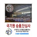 용인대 아이캔 태권도 이미지