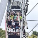 금강태권도 파워점핑 이미지