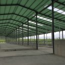 용성축사 이미지