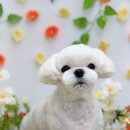 Grooming574 네이버블로그