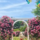 고인돌 김밥 이미지