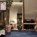 도키메로스터리 이미지