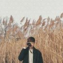 메타세콰이어길 | 전라도의 숨겨진 보석, 담양 메타세콰이어길 여행 후기