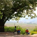 신촌3리 이미지