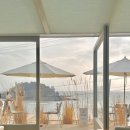 부안 짱아 이미지