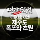 천지연농수산