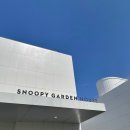 스누피 애견 이미지