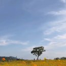 신화로(3-216) 이미지