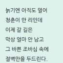8월2일 톡톡수다방 끝말잇기 이미지