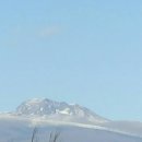 포니제주 이미지