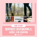 법무법인파라클레투스 이미지