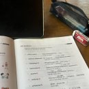 리꼬 (Rico) | [10주차] 가벼운학습지 스페인어