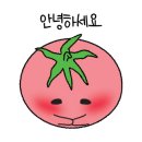 빈스앤비츠 네이버블로그