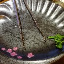 와구와구24