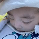 달세뇨아빠의레스토랑