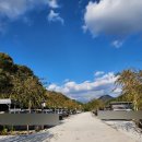 자작나무뜰 오토캠핑장 이미지