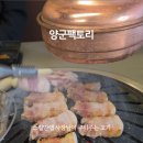 양군팩토리 이미지