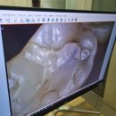 더푸른치과의원 이미지