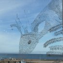숨결이 바람 되어 | [전시 후기] 제주에서, 생명이다 — 일년서가에서 만난 숨결과 연결의 기록