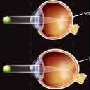 다비치안경 용인사거리점 이미지