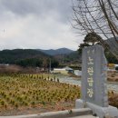 노란담장