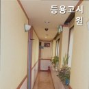 등용고시원