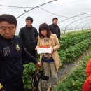 김형표농장 이미지