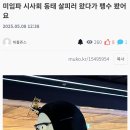 펭수 지금 잠실에서 탐형 만나고있답니다(스포) 이미지