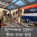 쓰시마 링크호 히타카츠 당일치기 여행 다녀오기 (펜스타 평일 예약금액,시간,멀미) 입국시 면세인도...