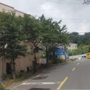 신평동1111 이미지