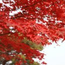 불암산로59번길 이미지