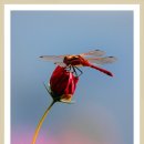 고전에서 배우는 지혜 이미지