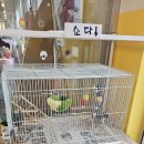 산동 | 아산 음봉 카페 추천, 카페 산동 0157 후기