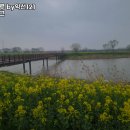 이태원121 by | 영산나루 by익선121 올드머그 추천 / 전남 피자