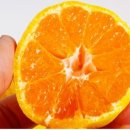 정희농장 이미지