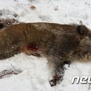 신흥정수장 이미지