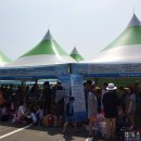WR(부산광역시 동구)-[충장대로]-하-14 | 부산북항수영장 / 부산항 시민 해수온천 야외 수영장 다녀온 후기 및 꿀팁