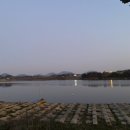 물망초횟집 이미지