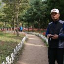 아름여행사 - 화성시 삼천병마로 1276 | 아름여행사