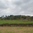 민재목장 이미지