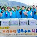 남면옥수수 이미지