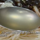 숭례분식