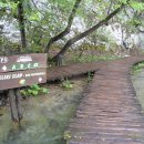 크로아티아 '플리트비체 국립공원(Plitvice Lakes National Park)' 이미지