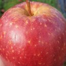 하늘재농장 이미지