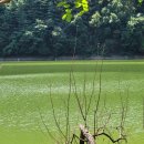 카페애룡호수 이미지