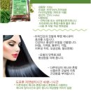 퀸스타 천연헤나