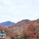 지질박물관 | [재인폭포] 한탄강이 만들어낸 야외 지질박물관, 아이랑 방문 후기(feat. 연천 당일치기)