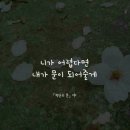 사랑한다면